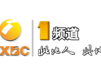男篮世界杯：押注谁能成为夺冠热门？